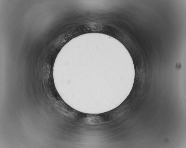 X0000112460752200909281020