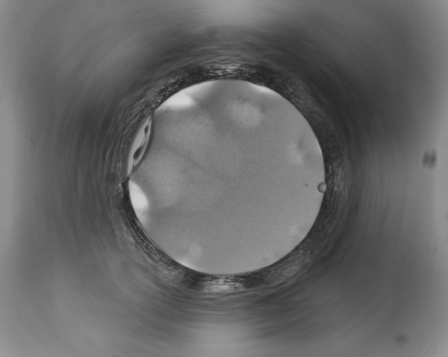 X0000112460754200909281020