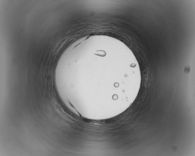 X0000112460756200909281020