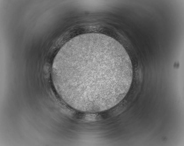 X0000112460757200909281020