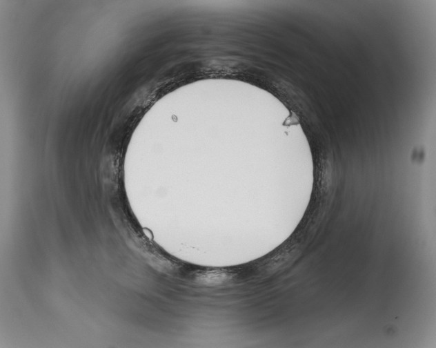 X0000112460759200909281020