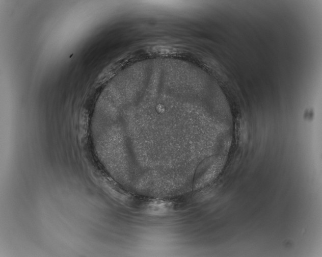 X0000112460760200909281020