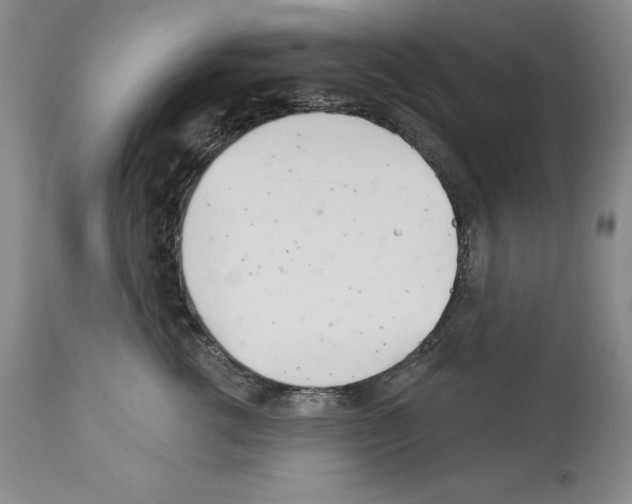 X0000112460762200909281020