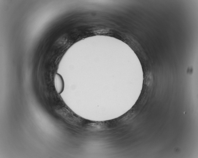 X0000112460763200909281020