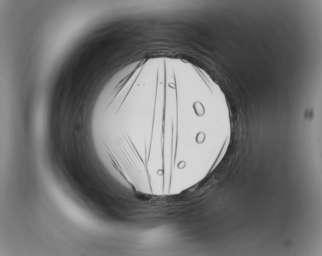 X0000112460764200909281020