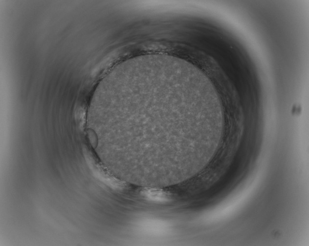 X0000112460767200909281020