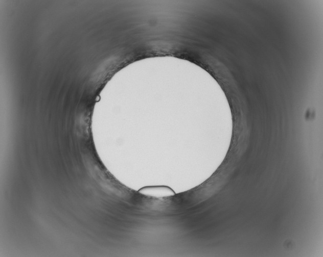 X0000112460768200909281020
