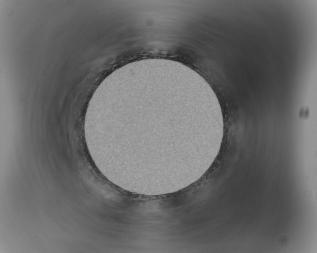 X0000112460769200909281019