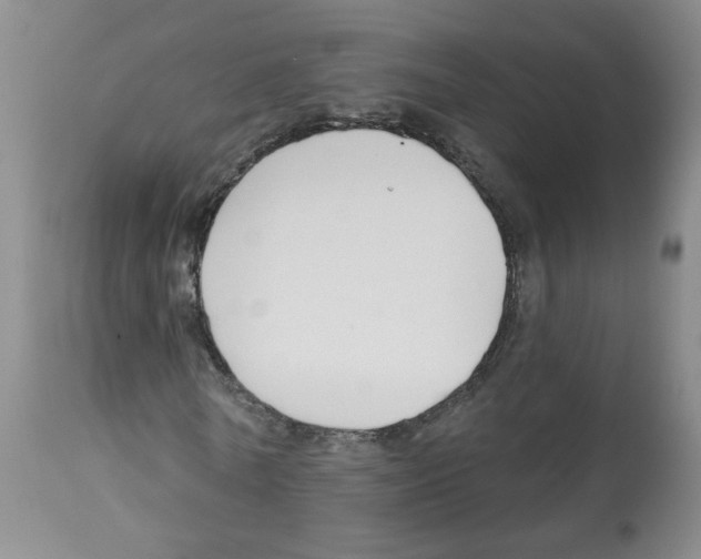 X0000112460770200909281019