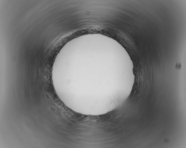 X0000112460773200909281019
