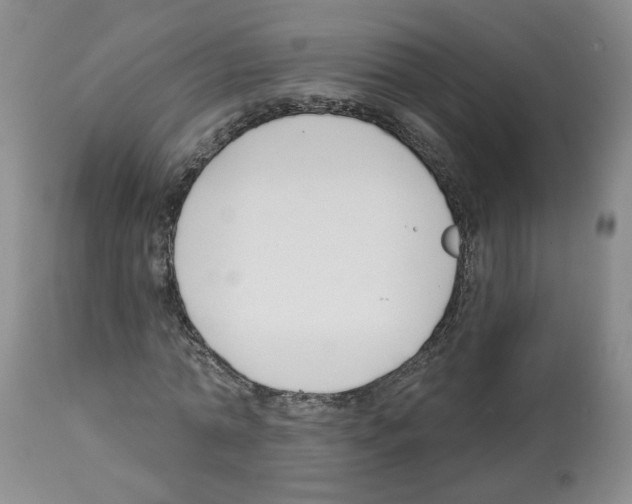 X0000112460774200909281019