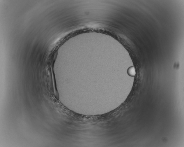 X0000112460776200909281019