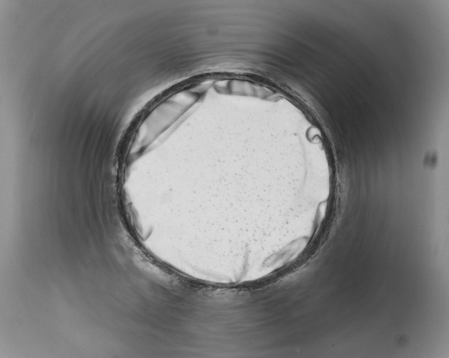 X0000112460779200909281019