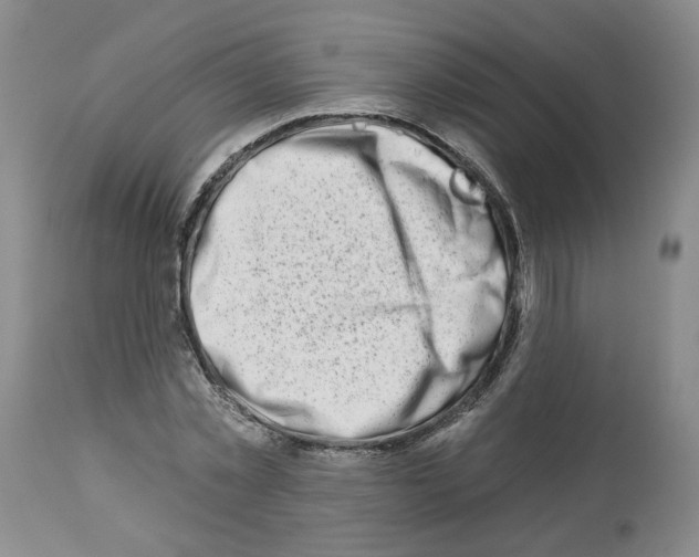 X0000112460781200909281019
