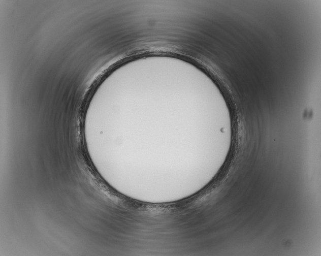 X0000112460782200909281019