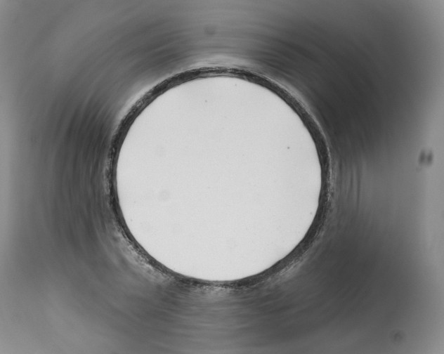 X0000112460783200909281019