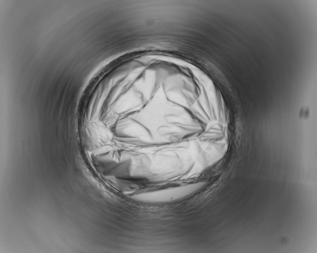 X0000112460784200909281019