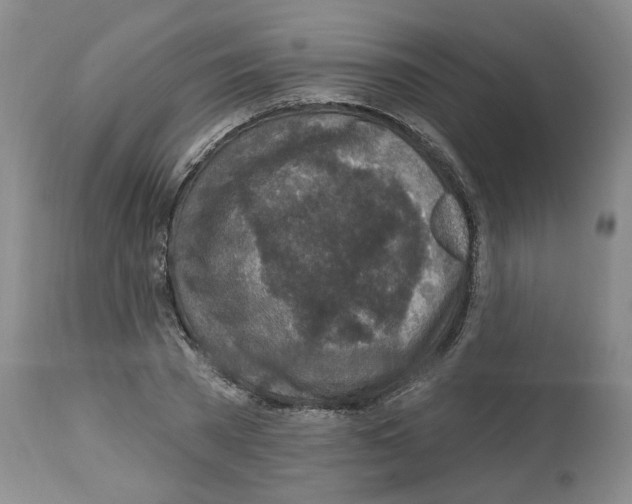 X0000112460785200909281019