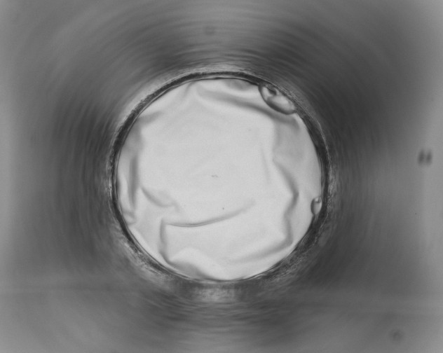 X0000112460789200909281019