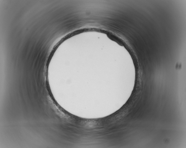 X0000112460791200909281019