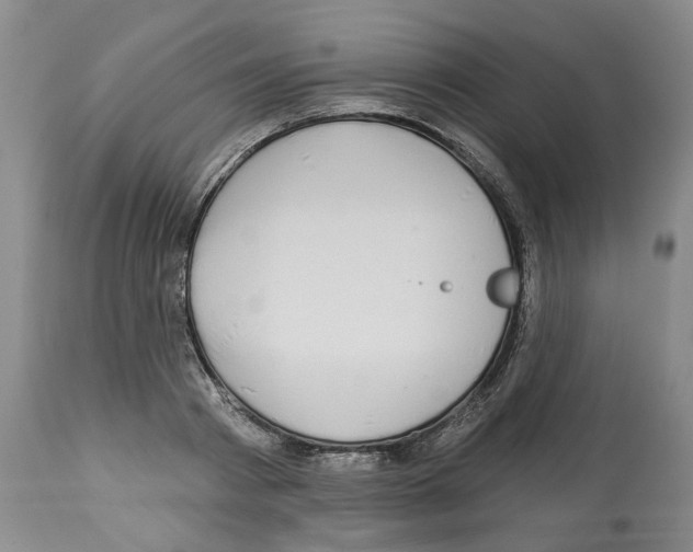 X0000112460793200909281019