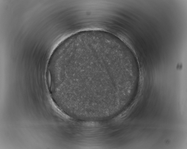 X0000112460797200909281019