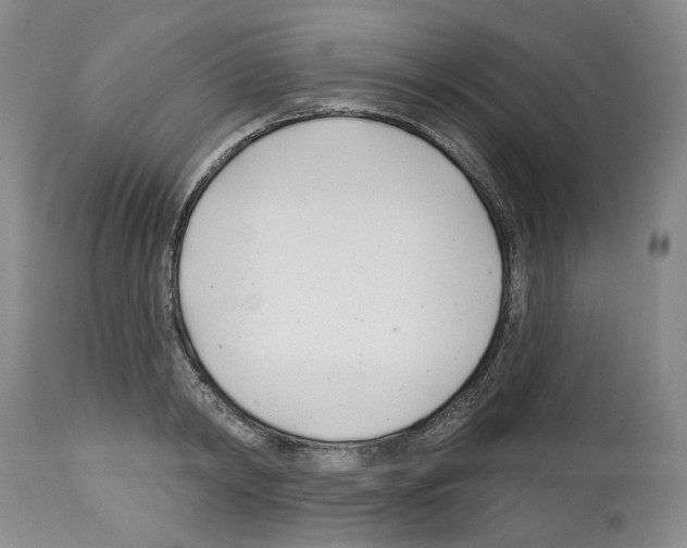 X0000112460798200909281019