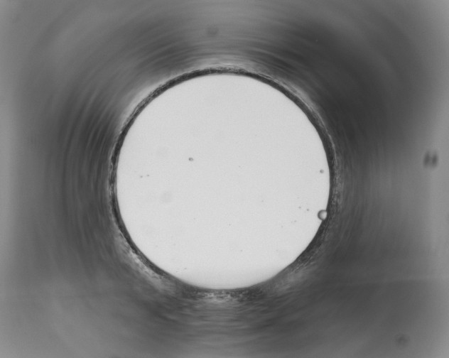 X0000112460799200909281019