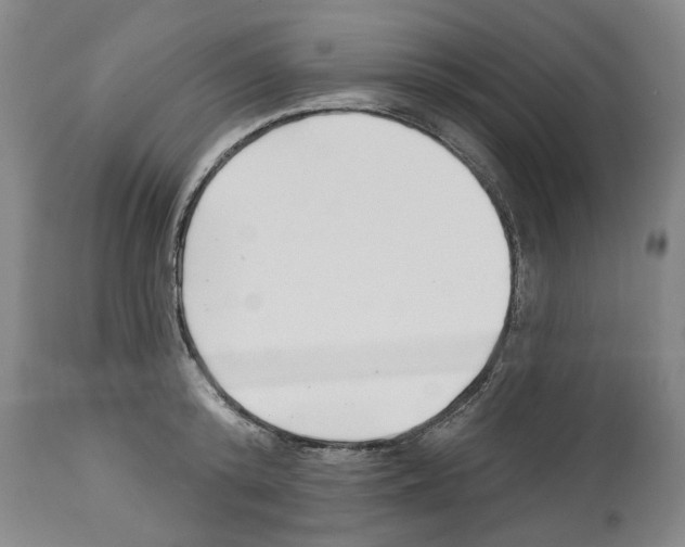 X0000112460800200909281019