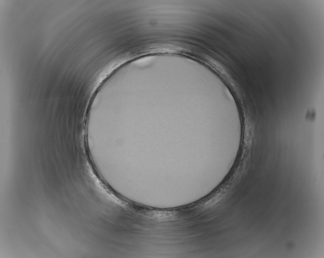 X0000112460802200909281019