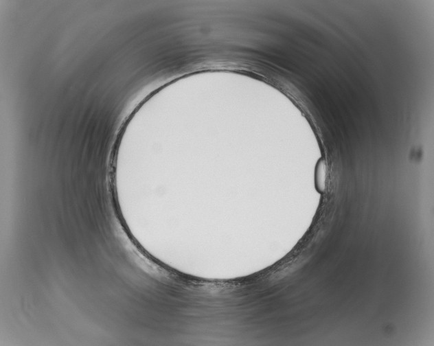 X0000112460803200909281019