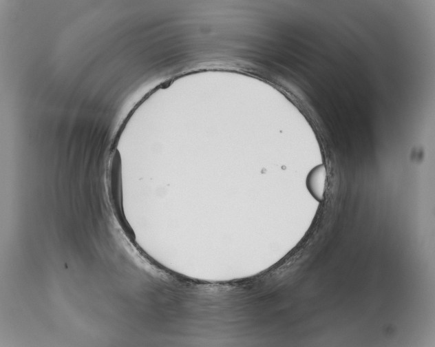 X0000112460804200909281019