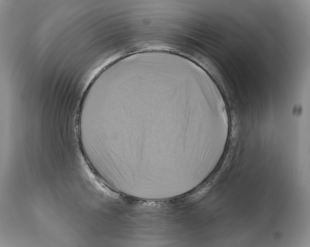 X0000112460806200909281019