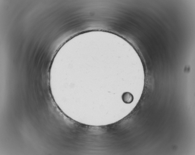 X0000112460807200909281019
