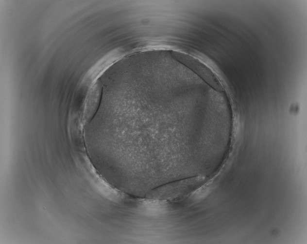X0000112460809200909281019