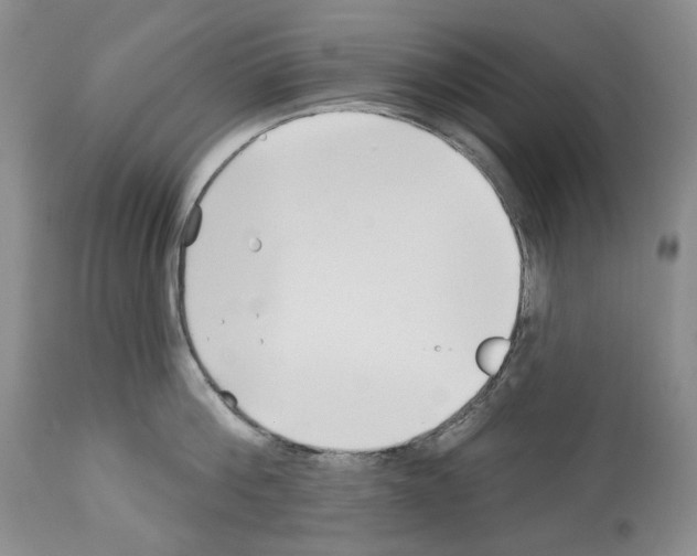 X0000112460812200909281019