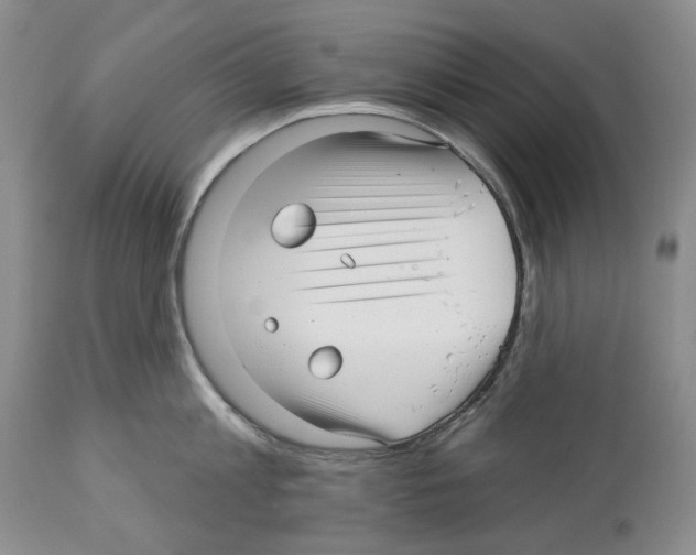 X0000112460813200909281019