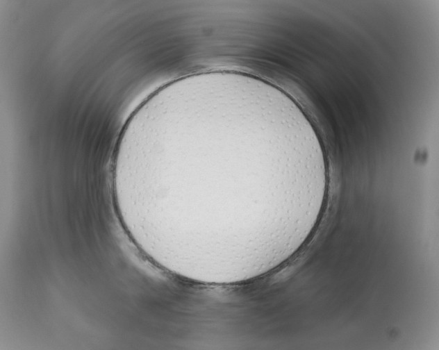 X0000112460814200909281019