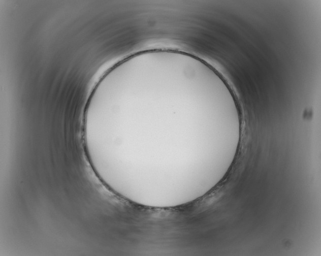 X0000112460815200909281019