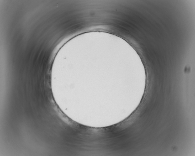 X0000112460816200909281019