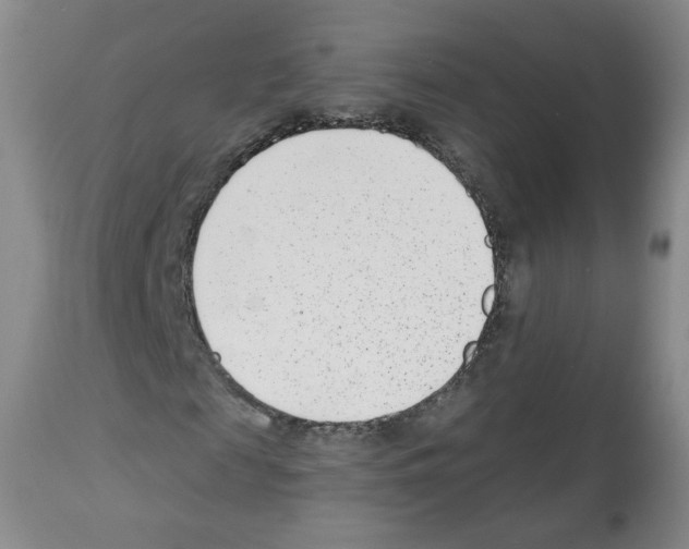 X0000112460817200909281018