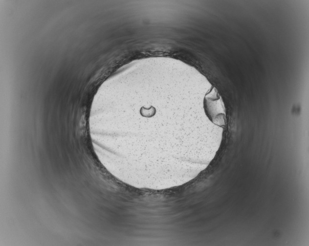 X0000112460818200909281018