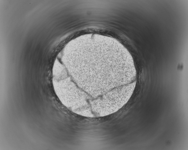 X0000112460822200909281018