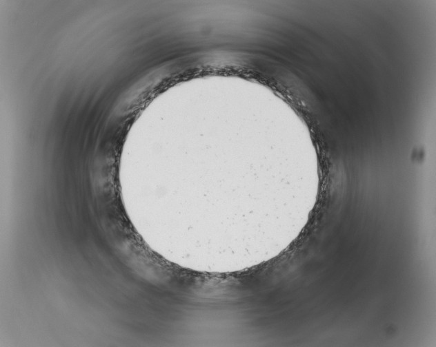 X0000112460824200909281018