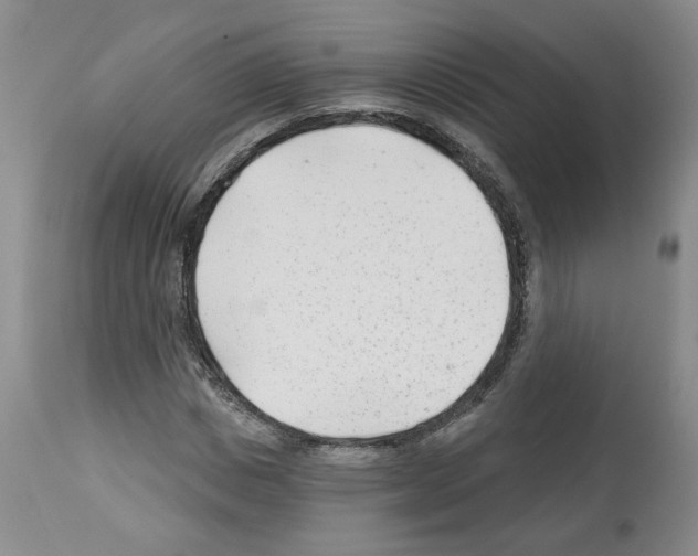 X0000112460825200909281018