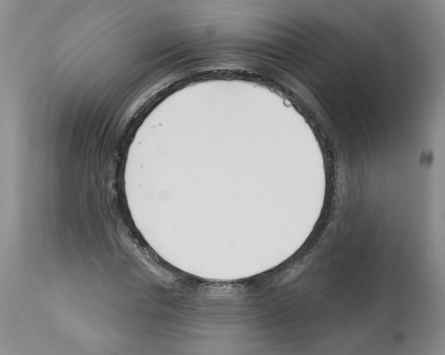 X0000112460826200909281018