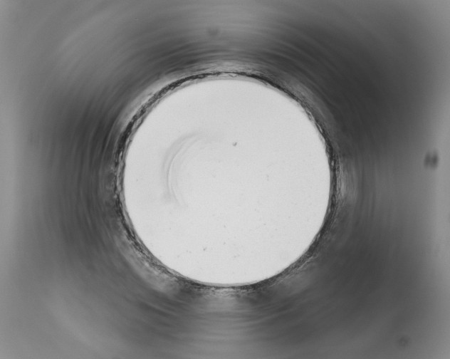 X0000112460828200909281018