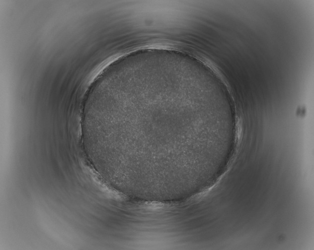 X0000112460829200909281018