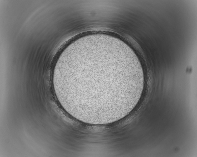 X0000112460831200909281018