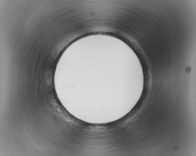 X0000112460833200909281018